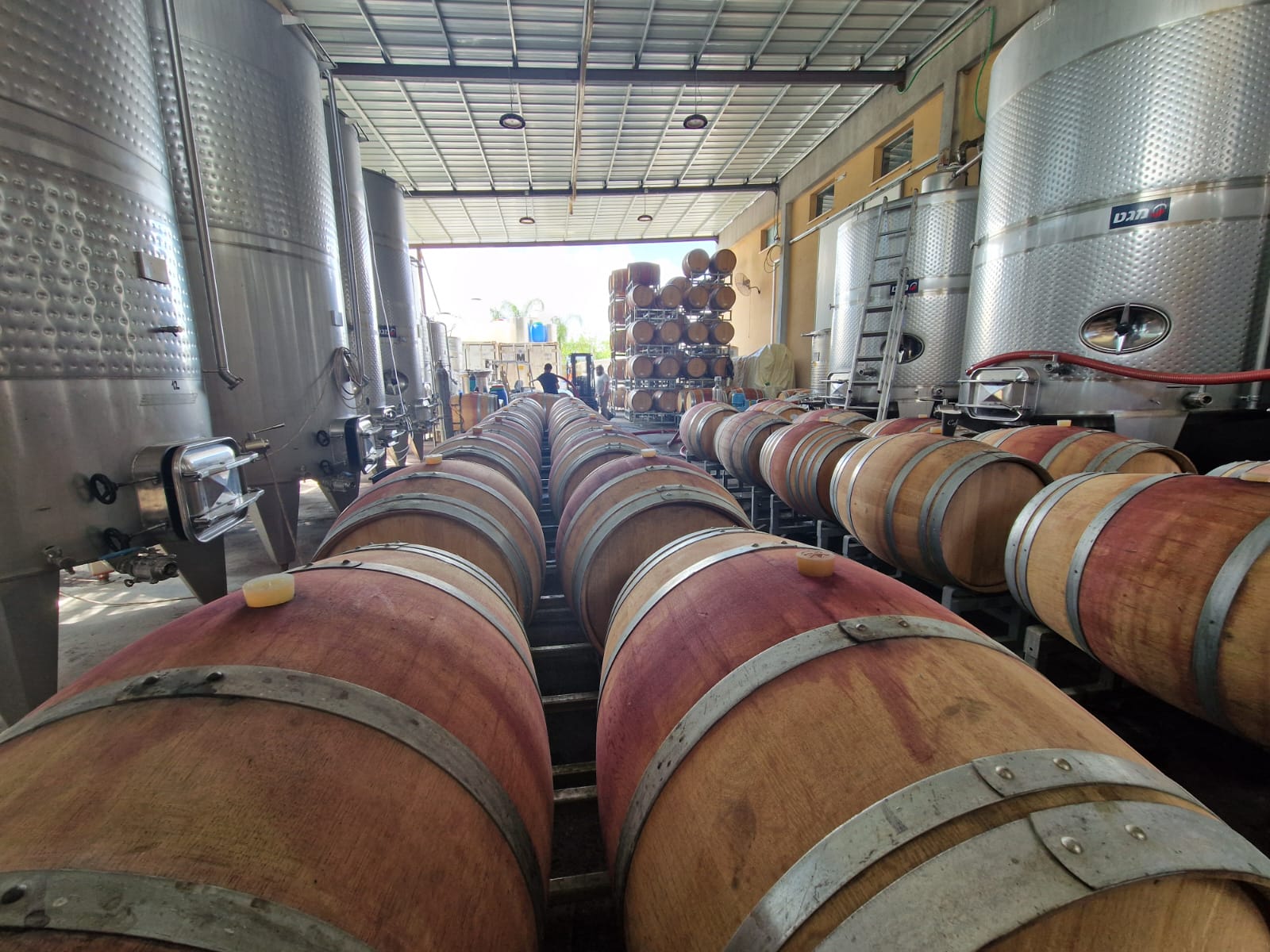 Kuzari wine in Israel